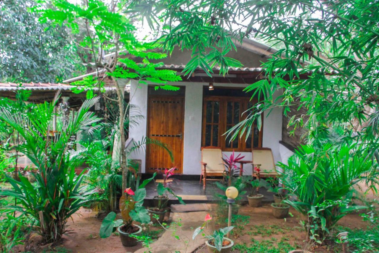 Manju Homestay Sigiriya Buitenkant foto
